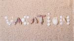 Title "vacation" from sea shells with coral sand as background