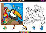 Cartoon Illustrations of Funny Colorful Birds Characters Group for Coloring Book with Elements Set