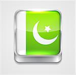 vector 3d style flag icon of pakistan