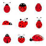 set of funny small ladybugs
