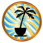Palm tree icon on a white background