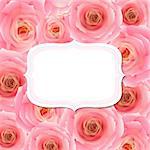 Label With Pink Rose, With Gradient Mesh, Vector Illustration