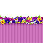 Background With Colorful Pansies, With Gradient Mesh, Vector