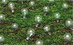 some unlit light bulbs with different size are growing as ideas on a grassy soil like plants