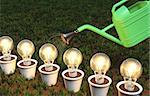 some lit light bulbs in white pots arranged in a row are watered by a green watering can, on a grassy ground