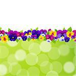 Spring Flowers Border, With Gradient Mesh, Vector Illustration