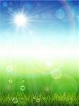 Vector illustration of the summer background with green grass