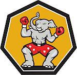 Illustration of a republican elephant mascot boxer boxing with gloves set inside shield pentagon shape done in cartoon style.