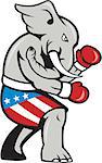 Illustration of a republican elephant mascot boxer boxing with gloves viewed from side on isolated background done in cartoon style.