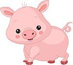 Farm animals. Illustration of cute Pig