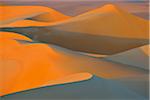 Scenic overview of Sand Dunes at Sunset, Matruh, Great Sand Sea, Libyan Desert, Sahara Desert, Egypt, North Africa, Africa