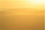 Golden Glow on Sand Dunes with Morning Mist, Matruh, Great Sand Sea, Libyan Desert, Sahara Desert, Egypt, North Africa, Africa