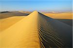 Scenic view of Sand Dunes, Matruh, Great Sand Sea, Libyan Desert, Sahara Desert, Egypt, North Africa, Africa