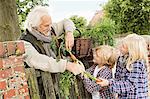 Grandfather and grandchildren by gate with carrots