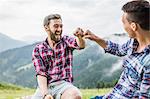 Two male friends sitting on fence, Tyrol Austria