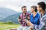 Three young adult friends drinking beer on fence, Tyrol Austria