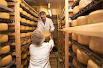 Workers putting cheese round for storage at farm factory