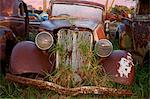 Close up of vintage car in scrap yard