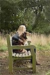Teenage girl sitting on country bench with dog
