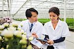 Man and woman with rows of plants growing in greenhouse