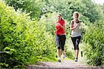 Women jogging through forest