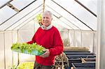 Senior man holding plants in greenhouse