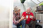Senior male friends in greenhouse holding plants