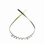 A thin green strap leaf in a loop with small sparkling gem cut clear glass beads. A necklace with a natural feel.