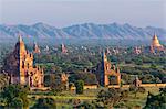 Stupas on the plains of Bagan, Myanmar. Bagan Archaeological Zone.