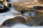 Barnes Creek, Olympic National Park, Washington, USA