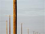 Telephone poles and power lines in a row, at Belridge in California.