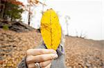 A woman holding out an autumn leaf obscuring her face.