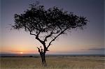 Sunset, Kenya