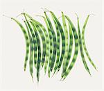 Organic green string beans on white background