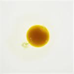 Organic egg on white background