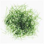 Pile of organic wheatgrass on a white background