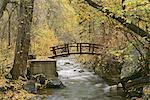 A river running through American Fork Canyon. Small wooden bridge. Autumn foliage, and fallen leaves.