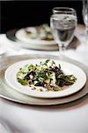 A formal table setting for a meal. China plates and glasses. An organic salad with mixed leaves.