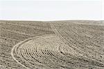 Ploughed earth furrows, patterns on the surface of the soil on farmland near Pullman, Washington, USA