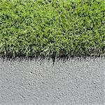 Detail of lush, green grass and sidewalk, near Quincy