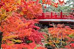 Autumn leaves and bridge