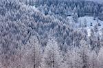 Kirigamine Plateau, Nagano Prefecture, Japan