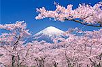 View of Mount Fuji, Japan