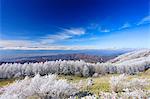 Northern Alps, Japan