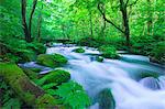 Oirase mountain stream, Aomori Prefecture