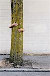 Man hugging a tree on an urban street and sidewalk.