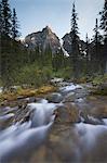 Stream in the Valley of the Ten Peaks, Banff National Park, Alberta, Canada