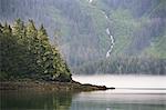 Bald eagle and waterfall, Glacier Bay National Park and Preserve, Alaska