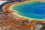 Grand Prismatic Spring, a bright turquoise pool and site of geothermal activity, with mineral rich deposits at the edge.