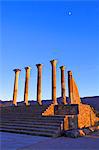 Excavated Roman City, Volubilis, UNESCO World Heritage Site, Morocco, North Africa, Africa